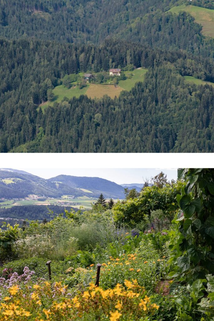 Zwei Fotos. Das obere zeigt den Hof und die Umgebung von weit entfernt. Der Hof liegt auf einem Berg und ist von Wald umgeben. Das untere Foto zeigt den Garten mit vielen Blumen und Kräutern. Im Hintergrund sind Berge zu sehen.